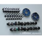 Picture for category Dbilas camshaft