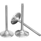 Picture for category Intake valves and exhaust valves