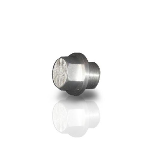 Picture of Stainless Works O2 Bung Plug