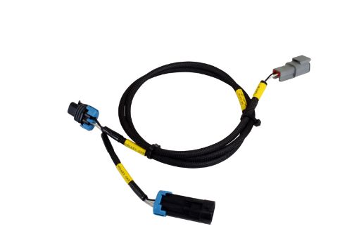 Picture of AEM CD - 7CD - 7L Plug and Play Adapter Harness for Holley EFI