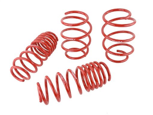 Picture of Skunk2 16 - 17 Honda Civic Lowering Springs (1.375in - 1.25in) (Set of 4)