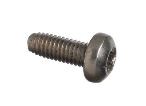 Picture of Schrader Replacement T - 10 Screws - 25 Pack